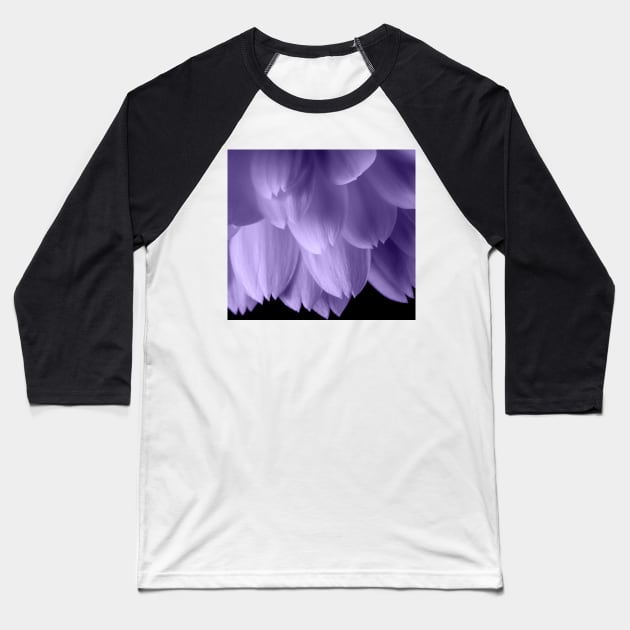 Ultra violet purple flower petals black Baseball T-Shirt by PLdesign
